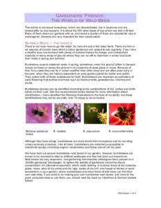 Gardeners’ Friends The World of Wild Bees This article is not about honeybees, which are domesticated, live in beehives and are looked-after by bee-keepers. It is about the 250 other types of bee which live wild in Bri