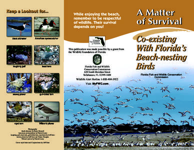 This publication was made possible by a grant from the Wildlife Foundation of Florida. Florida Fish and Wildlife Conservation Commission 620 South Meridian Street