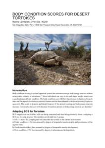 BODY CONDITION SCORES FOR DESERT TORTOISES Nadine Lamberski, DVM, Dipl. ACZM San Diego Zoo Safari Park, 15500 San Pasqual Valley Road, Escondido, CA[removed]USA