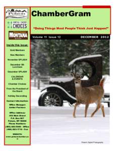 ChamberGram “Doing Things Most People Think Just Happen!” Volume 11 Issue 12 DECEMBER 2012