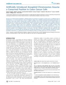 Artificially Introduced Aneuploid Chromosomes Assume a Conserved Position in Colon Cancer Cells Kundan Sengupta1, Madhvi B. Upender1, Linda Barenboim-Stapleton1, Quang Tri Nguyen1, Stephen M. Wincovitch Sr.2¤, Susan H. 