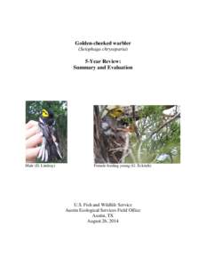 Golden-cheeked warbler (Setophaga chrysoparia) 5-Year Review: Summary and Evaluation