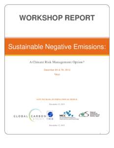 Microsoft Word - Final Report_Negative Emissions-DJ