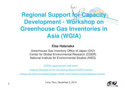 Regional Support for Capacity Development - Workshop on Greenhouse Gas Inventories in Asia (WGIA) Elsa Hatanaka Greenhouse Gas Inventory Office of Japan (GIO)