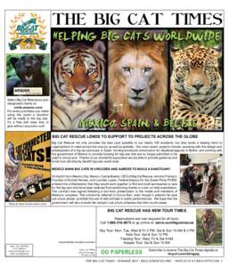 THE BIG CAT TIMES  Select Big Cat Rescue as your designated charity at: smile.amazon.com/ For every purchase you make