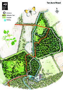 Yeading / Coppicing / London / London Borough of Hillingdon / London Wildlife Trust