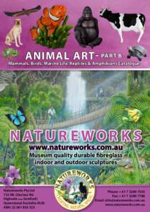 animal art- Part B  Mammals, Birds, Marine Life, Reptiles & Amphibians Catalogue NAT U R E W O R K S www.natureworks.com.au