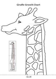 Giraffe Growth Chart  GLUE GLUE