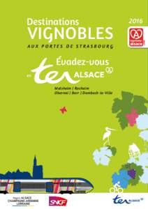 Destinations  VIGNOBLES AUX PORTES DE STRASBOURG  Évadez-vous