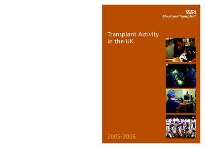 FinalUKFinancialActivityReport2006.doc