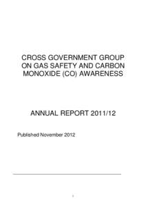 [removed]Annual Report - Cross government group on gas safety and carbon monoxide (CO) awareness