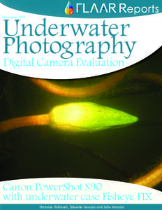 Underwater Photography Digital Camera Evaluation Underwater Photography