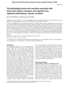 ICES Journal of Marine Science Advance Access published October 24, 2006 Page 1 of 9 The physiological status and mortality associated with otter-trawl capture, transport, and captivity of an exploited elasmobranch, Squa