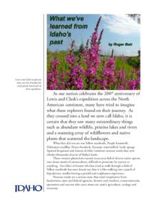 Lewis and Clark would not have seen the beutiful but costly purple loosestrife on their expedition.  As our nation celebrates the 200th anniversary of