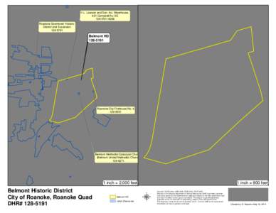 Esri / Belmont / Roanoke Downtown Historic District / Technology / Cartography / GPS / TomTom