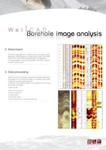 Borehole image analysis Data import Borehole image data from a variety of tools including acoustic televiewer, optical televiewer, corescanned images, FMI, FMS, CAST, CBIL, UBI, STAR and Sondex MIT are supported. For dat