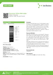 Fluorescent 100 bp DNA Ladder 100 bp to 1 kb log scale ready-to-use, orange / blue, green fluorescent Cat. No.