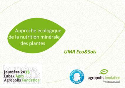 Approche écologique de la nutrition minérale des plantes UMR Eco&Sols  Reseach topics and objectives