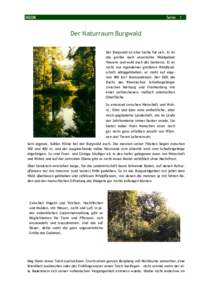 Seite 1  HGON Der Naturraum Burgwald Der Burgwald ist eine Sache für sich. Er ist
