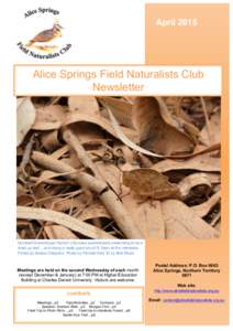 nta Drive by Mat GilfedderThis  April 2015 Alice Springs Field Naturalists Club Newsletter