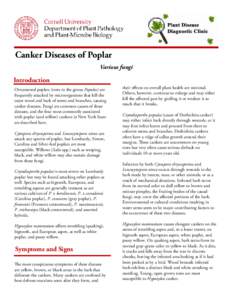 anker Diseases of Poplar C Various fungi Introduction Ornamental poplars (trees in the genus Populus) are