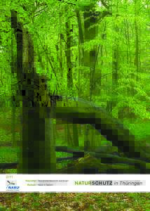 2/11 Vessertal I Biosphärenreservat ausbauen Leo/fokus-natur.de  Reform I Wald in Gefahr