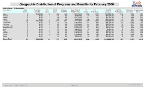 Geographic Distribution of Programs and Benefits for February 2006 County Name : Androscoggin Town Name RCA Cases