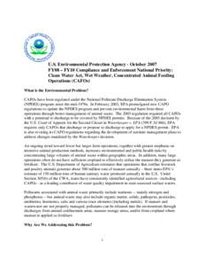US EPA FY 2008 Compliance and Enforcement National Priority: CWA, Storm Water