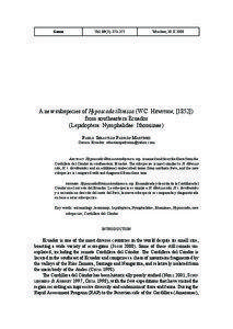 Zamora-Chinchipe Province / Ecuador / Hypolimnas misippus / Political geography / Lepidoptera / Cordillera del Cóndor / Andean caenolestid