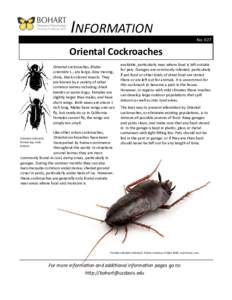 INFORMATION No. 027 Oriental Cockroaches Oriental cockroaches, Blatta orientalis L., are large, slow moving,