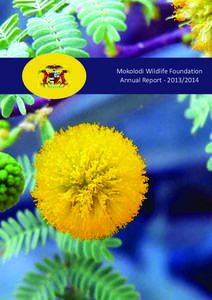 Mokolodi Wildlife Foundation Annual Report[removed] Driven by your success Products | Parts | Service | Machine Management