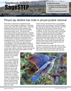 Inside this Issue: • Getting to the bottom of pinyon jay decline in the Intermountain West • SageSTEP mini-grants awarded Issue 32, Spring 2018