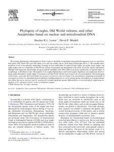 MOLECULAR PHYLOGENETICS AND