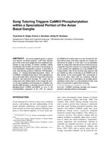 Song Tutoring Triggers CaMKII Phosphorylation within a Specialized Portion of the Avian Basal Ganglia Tryambak D. Singh, Ernest J. Nordeen, Kathy W. Nordeen Department of Brain and Cognitive Sciences, 106 Meliora Hall, U