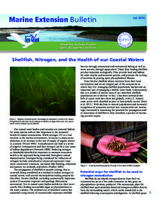 Marine Extension Bulletin  Jan 2014 Woods Hole Sea Grant Program Cape Cod Cooperative Extension