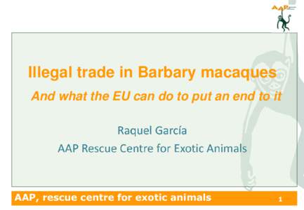 Illegal trade in Barbary macaques And what the EU can do to put an end to it AAP, rescue centre for exotic animals  1