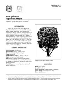 Fact Sheet ST-17 November 1993 Acer griseum Paperbark Maple1 Edward F. Gilman and Dennis G. Watson2