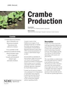 A1010 (Revised)  Crambe Production Greg Endres Area Extension Cropping Systems Specialist