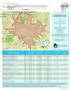 MARKET PROFILE Brownsville Rd and Sankey Ave Commercial District Carrick 2015 Business Summary (2 Minute Drive Time) Number of Businesses: