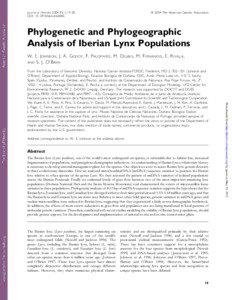 ª 2004 The American Genetic Association  Journal of Heredity 2004:95(1):19–28