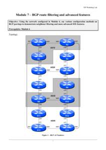 ISP Workshop Lab  Module 7 – BGP route filtering and advanced features Objective: Using the network configured in Module 6, use various configuration methods on BGP peerings to demonstrate neighbour filtering and more 