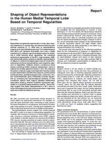 Shaping of Object Representations in the Human Medial Temporal Lobe Based on Temporal Regularities