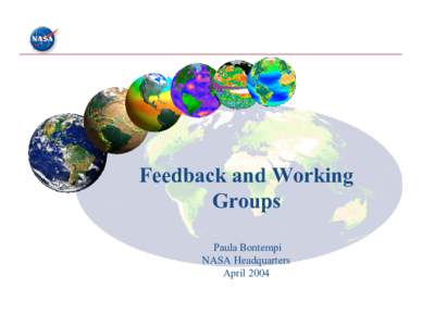 Feedback and Working Groups Paula Bontempi NASA Headquarters April 2004