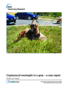 Cryptococcal meningitis in a goat – a case report Stilwell and Pissarra Stilwell and Pissarra BMC Veterinary Research 2014, 10:84