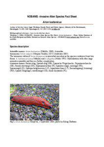 Zoology / Spanish slug / Arion / Phasmarhabditis hermaphrodita / Black slug / Slug / Red slug / Pneumostome / Biological pest control / Arionidae / Phyla / Protostome