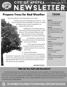 Calendar  Prepare Trees for Bad Weather Trees often suffer the worst damage from severe weather. Florida averages up to 100 thunderstorms each year – more than any other part of the United States. In summer, it is amon