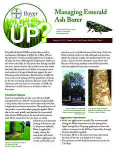 UP? WHAT’S Managing Emerald Ash Borer The adult emerald ash borer.