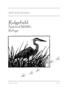 An Educators Guide to  Ridgefield National Wildlife Refuge