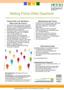 Setting Frühe Hilfen Saarland Ergebnisse einer Gruppendiskussionen mit Praktikerinnen und Praktikern Instrumente und Verfahren – Was nutzt die Praxis? •