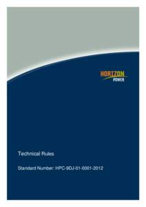 Technical Rules Standard Number: HPC-9DJ * Shall be the Process Owner and is the person assigned authority and responsibility for managing the whole process, end-to-end, which may extend across more than on